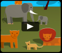 video animales de la sabana africana