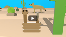 animales del desierto